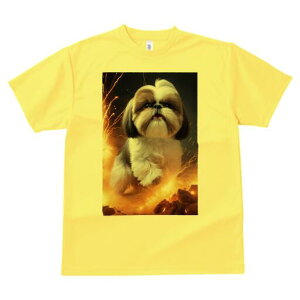 V[Y[ TVc  j[NfUCfB[X t@  t vg lJWA 킢 lԗp Mtg I ҏ΍  V[Y[ Ή