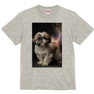 V[Y[ TVc  j[NfUCfB[X t@  t vg lJWA 킢 lԗp Mtg I ҏ΍  V[Y[ 