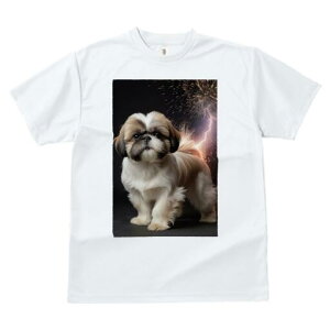 V[Y[ TVc  j[NfUCfB[X t@  t vg lJWA 킢 lԗp Mtg I ҏ΍  V[Y[ 