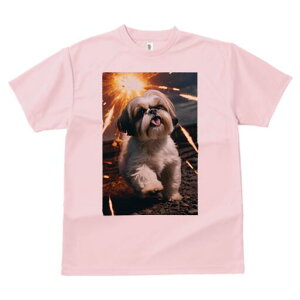 V[Y[ TVc  j[NfUCfB[X t@  t vg lJWA 킢 lԗp Mtg I ҏ΍  V[Y[ Ή