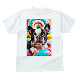 {XgeA TVc  j[NfUCfB[X t@  t vg lJWA 킢 lԗp Mtg I ҏ΍ h[ic {XgeA XC[c