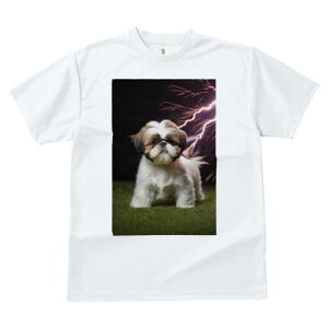 V[Y[ TVc  j[NfUCfB[X t@  t vg lJWA 킢 lԗp Mtg I ҏ΍  V[Y[