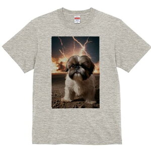 V[Y[ TVc  j[NfUCfB[X t@  t vg lJWA 킢 lԗp Mtg I ҏ΍  V[Y[  r