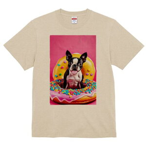 {XgeA TVc  j[NfUCfB[X t@  t vg lJWA 킢 lԗp Mtg I ҏ΍ h[ic {XgeA XC[c sN