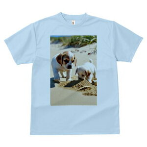 WbNbZeA TVc  j[NfUCfB[X t@  t vg lJWA 킢 lԗp Mtg I ҏ΍ l WbNbZeA L