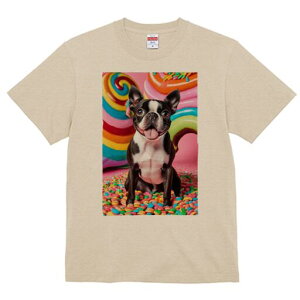 {XgeA TVc  j[NfUCfB[X t@  t vg lJWA 킢 lԗp Mtg I ҏ΍ LfB {XgeA XC[c J