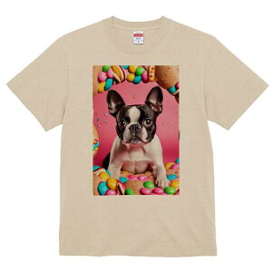 {XgeA TVc  j[NfUCfB[X t@  t vg lJWA 킢 lԗp Mtg I ҏ΍ LfB {XgeA XC[c h[