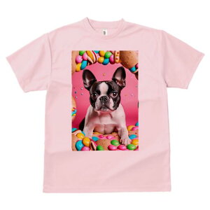 {XgeA TVc  j[NfUCY LbY t@  t vg lJWA 킢 lԗp Mtg I ҏ΍ LfB {XgeA XC[c h