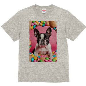 {XgeA TVc  j[NfUCY LbY t@  t vg lJWA 킢 lԗp Mtg I ҏ΍ LfB {XgeA XC[c h