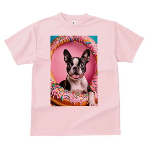 {XgeA TVc  j[NfUCfB[X t@  t vg lJWA 킢 lԗp Mtg I ҏ΍ h[ic {XgeA XC[c sN