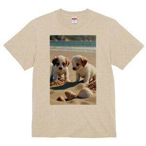 LoA,}`[Y TVc  j[NfUCfB[X t@  t vg lJWA 킢 lԗp Mtg I ҏ΍ r[` LoA,}`[Y C 