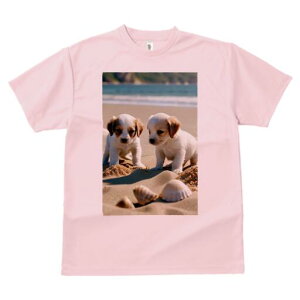 LoA,}`[Y TVc  j[NfUCfB[X t@  t vg lJWA 킢 lԗp Mtg I ҏ΍ r[` LoA,}`[Y C 