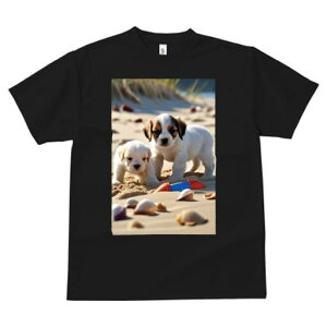 �W���b�N���b�Z���e���A T�V���c ���� ���j�[�N�f�U�C�����f�B�[�X ���t�@�� ���� �t�� �v�����g ��l�J�W���A�� ���킢�� �l�ԗp �M�t�g ���I �ҏ��΍� ���l �W���b�N���b�Z���e���A �L