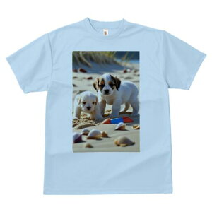 WbNbZeA TVc  j[NfUCfB[X t@  t vg lJWA 킢 lԗp Mtg I ҏ΍ l WbNbZeA L