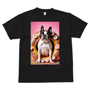 {XgeA TVc  j[NfUCfB[X t@  t vg lJWA 킢 lԗp Mtg I ҏ΍ h[ic {XgeA XC[c َq 