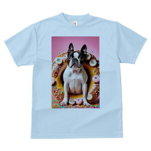 {XgeA TVc  j[NfUCfB[X t@  t vg lJWA 킢 lԗp Mtg I ҏ΍ h[ic {XgeA XC[c َq 