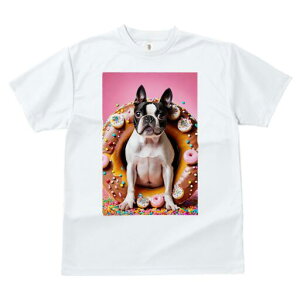 {XgeA TVc  j[NfUCfB[X t@  t vg lJWA 킢 lԗp Mtg I ҏ΍ h[ic {XgeA XC[c َq 