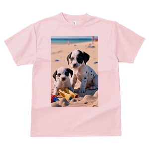 _VA TVc  j[NfUCfB[X t@  t vg lJWA 킢 lԗp Mtg I ҏ΍ r[` _VA C  l̂