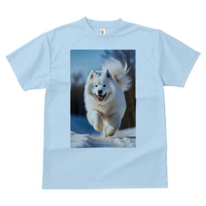 �T���G�h T�V���c ���� ���j�[�N�f�U�C�����f�B�[�X ���t�@�� ���� �t�� �v�����g ��l�J�W���A�� ���킢�� �l�ԗp �M�t�g ���I �ҏ��΍� �� �T���G�h �~ ���z �Ί�