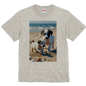 _VA TVc  j[NfUCfB[X t@  t vg lJWA 킢 lԗp Mtg I ҏ΍ r[` _VA C  Lk