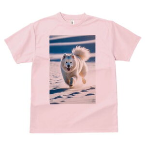 TGh TVc  j[NfUCfB[X t@  t vg lJWA 킢 lԗp Mtg I ҏ΍  TGh ~ 