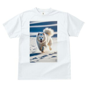 TGh TVc  j[NfUCfB[X t@  t vg lJWA 킢 lԗp Mtg I ҏ΍  TGh ~ 