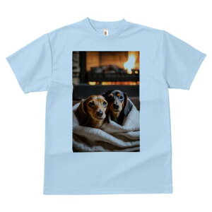 _bNXth TVc  j[NfUCfB[X t@  t vg lJWA 킢 lԗp Mtg I ҏ΍ gF _bNXth ѕz