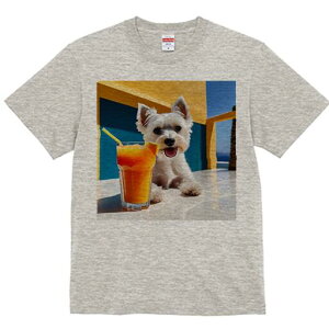 EGXgnChzCgeA TVc  j[NfUCfB[X t@  t vg lJWA 킢 lԗp Mtg I ҏ΍ W[X EGXgnC