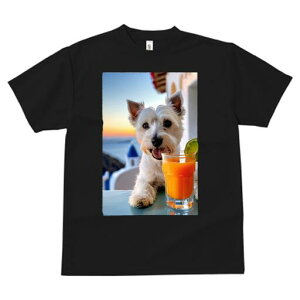 EGXgnChzCgeA TVc  j[NfUCfB[X t@  t vg lJWA 킢 lԗp Mtg I ҏ΍ W[X EGXgnC