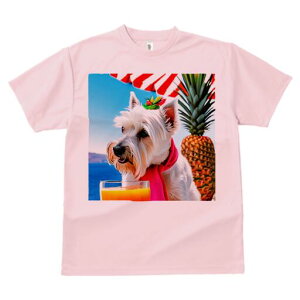 EGXgnChzCgeA TVc  j[NfUCfB[X t@  t vg lJWA 킢 lԗp Mtg I ҏ΍ pCibv EGXg