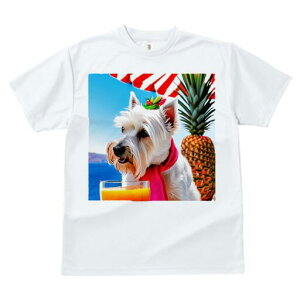 �E�G�X�g�n�C�����h�z���C�g�e���A T�V���c ���� ���j�[�N�f�U�C�����f�B�[�X ���t�@�� ���� �t�� �v�����g ��l�J�W���A�� ���킢�� �l�ԗp �M�t�g ���I �ҏ��΍� �p�C�i�b�v�� �E�G�X�g