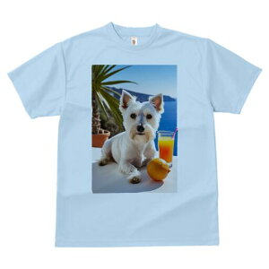 EGXgnChzCgeA TVc  j[NfUCfB[X t@  t vg lJWA 킢 lԗp Mtg I ҏ΍ W[X EGXgnC