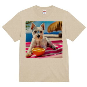 EGXgnChzCgeA TVc  j[NfUCfB[X t@  t vg lJWA 킢 lԗp Mtg I ҏ΍ r[` EGXgnC