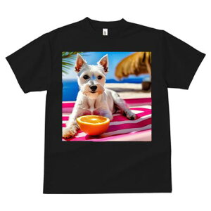 EGXgnChzCgeA TVc  j[NfUCY LbY t@  t vg lJWA 킢 lԗp Mtg I ҏ΍ r[` EGXgn