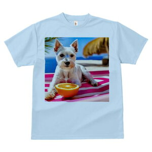 EGXgnChzCgeA TVc  j[NfUCfB[X t@  t vg lJWA 킢 lԗp Mtg I ҏ΍ r[` EGXgnC