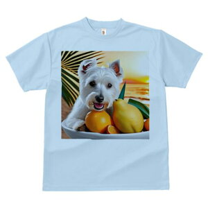 EGXgnChzCgeA TVc  j[NfUCfB[X t@  t vg lJWA 킢 lԗp Mtg I ҏ΍ ʕ EGXgnC