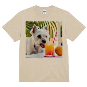 EGXgnChzCgeA TVc  j[NfUCY LbY t@  t vg lJWA 킢 lԗp Mtg I ҏ΍ W[X EGXg