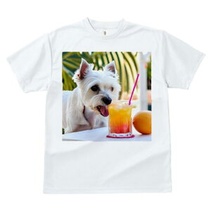 EGXgnChzCgeA TVc  j[NfUCfB[X t@  t vg lJWA 킢 lԗp Mtg I ҏ΍ W[X EGXgnC