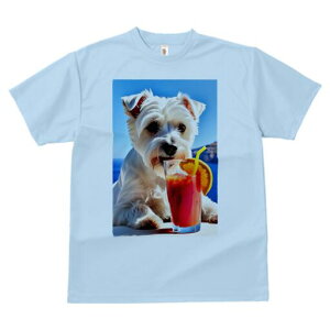 EGXgnChzCgeA TVc  j[NfUCfB[X t@  t vg lJWA 킢 lԗp Mtg I ҏ΍ JNe EGXgnC