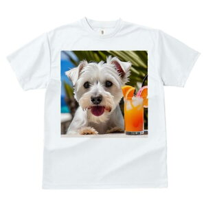 EGXgnChzCgeA TVc  j[NfUCfB[X t@  t vg lJWA 킢 lԗp Mtg I ҏ΍ ݕ EGXgnC