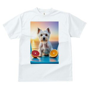 EGXgnChzCgeA TVc  j[NfUCfB[X t@  t vg lJWA 킢 lԗp Mtg I ҏ΍ IW EGXgnC