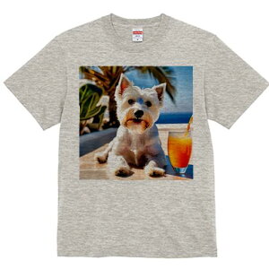 EGXgnChzCgeA TVc  j[NfUCfB[X t@  t vg lJWA 킢 lԗp Mtg I ҏ΍ W[X EGXgnC