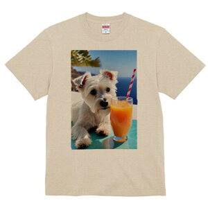 EGXgnChzCgeA TVc  j[NfUCfB[X t@  t vg lJWA 킢 lԗp Mtg I ҏ΍ W[X EGXgnC