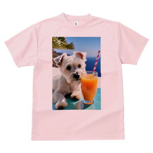 �E�G�X�g�n�C�����h�z���C�g�e���A T�V���c ���� ���j�[�N�f�U�C�����f�B�[�X ���t�@�� ���� �t�� �v�����g ��l�J�W���A�� ���킢�� �l�ԗp �M�t�g ���I �ҏ��΍� �W���[�X �E�G�X�g�n�C