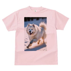 TGh TVc  j[NfUCfB[X t@  t vg lJWA 킢 lԗp Mtg I ҏ΍  TGh ~ 