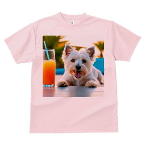 EGXgnChzCgeA TVc  j[NfUCfB[X t@  t vg lJWA 킢 lԗp Mtg I ҏ΍ W[X EGXgnC