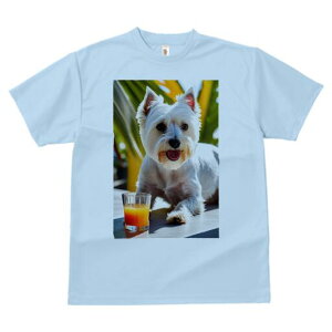 EGXgnChzCgeA TVc  j[NfUCfB[X t@  t vg lJWA 킢 lԗp Mtg I ҏ΍ W[X EGXgnC