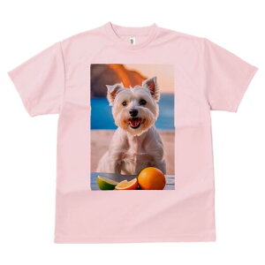 EGXgnChzCgeA TVc  j[NfUCfB[X t@  t vg lJWA 킢 lԗp Mtg I ҏ΍ k EGXgnC