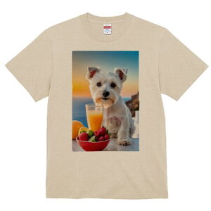 EGXgnChzCgeA TVc  j[NfUCfB[X t@  t vg lJWA 킢 lԗp Mtg I ҏ΍ W[X EGXgnC