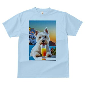 EGXgnChzCgeA TVc  j[NfUCfB[X t@  t vg lJWA 킢 lԗp Mtg I ҏ΍ ݕ EGXgnC